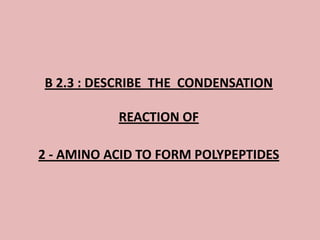 B 2.3 : DESCRIBE THE CONDENSATION

           REACTION OF

2 - AMINO ACID TO FORM POLYPEPTIDES
 
