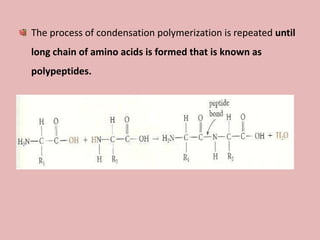 The process of condensation polymerization is repeated until
long chain of amino acids is formed that is known as
polypeptides.
 