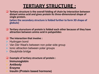 TERTIARY STRUCTURE :
 Tertiary structure is the overall folding of chain by interaction between
  distant amino acid and gives protein its three-dimensional shape of
  single protein.
  (when the secondary structure is folded further to form 3D shape of
  globule)

 Tertiary sturucture of protein is folded each other because of they have
  attraction between amino acid in polypetides

   The interaction that involve :
   Hydrogen bond
   Van Der Waal’s between non polar side group
   Ionic attraction between polar groups
   Disulphide bridge

   Example of tertiary structure of protein :
   Immunoglobin
   Antibody
   Enzyme
   Insulin (Protein based hormone)
 