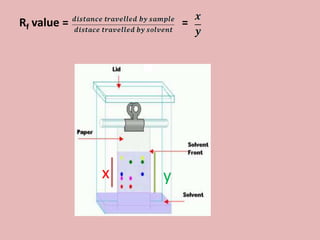 Rf value =           =




             x   y
 