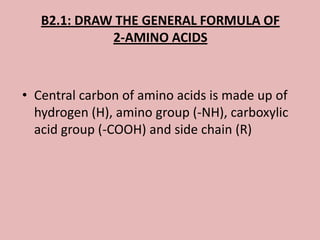 B2.1: DRAW THE GENERAL FORMULA OF
             2-AMINO ACIDS



• Central carbon of amino acids is made up of
  hydrogen (H), amino group (-NH), carboxylic
  acid group (-COOH) and side chain (R)
 