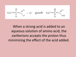 When a strong acid is added to an
 aqueous solution of amino acid, the
 zwitterions accepts the proton thus
minimizing the effect of the acid added.
 