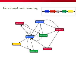 102
Gene-based node colouring
 