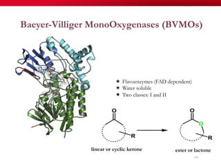 Baeyer-Villiger MonoOxygenases (BVMOs)
«  Flavoenzymes (FAD dependent)
«  Water soluble
«  Two classes: I and II
105
linear or cyclic ketone ester or lactone
 