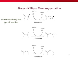 Baeyer-Villiger Monooxygenation
107
3 RMS describing this
type of reaction
 