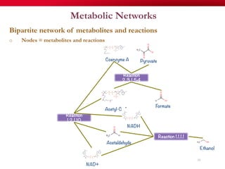 Metabolic Networks
Bipartite network of metabolites and reactions
o  Nodes = metabolites and reactions
19
Pyruvate
Formate
Acetyl-CoA
Acetaldehyde
Ethanol
Coenzyme A
NADH
NAD+
Reaction
2.3.1.54
Reaction
1.2.1.10
Reaction 1.1.1.1
 
