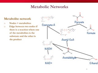 Metabolic Networks
Metabolite network
o  Nodes = metabolites
o  Edge between two nodes if
there is a reaction where one
of the metabolites is the
substrate and the other is
the product
20
Pyruvate
Formate
Acetyl-CoA
Acetaldehyde
Ethanol
Coenzyme A
NADH
NAD+
 