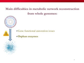 Main difficulties in metabolic network reconstruction
from whole genomes:
« Gene functional annotation issues
« Orphan enzymes
26
 