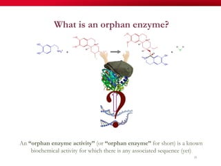 What is an orphan enzyme?
An “orphan enzyme activity” (or “orphan enzyme” for short) is a known
biochemical activity for which there is any associated sequence (yet)
28
 