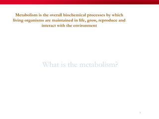 What is the metabolism?
Metabolism is the overall biochemical processes by which
living organisms are maintained in life, grow, reproduce and
interact with the environment
3
 