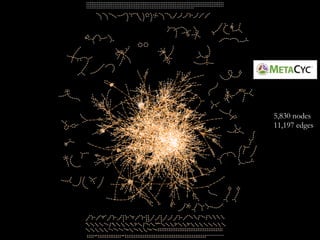 38
5,830 nodes
11,197 edges
 