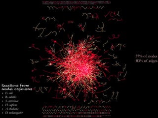 39
57% of nodes
83% of edges
Reactions from
model organisms
✴  E. coli
✴  B. subtilis
✴  S. cerevisiae
✴  H. sapiens
✴  A. thaliana
✴  D. melanogaster
 