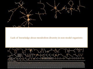 42
Lack of knowledge about metabolism diversity in non-model organisms
 