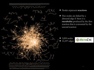 «  Nodes represent reactions
«  Two nodes are linked by a
directed edge if there is a
metabolite produced by the first
reaction that is consumed by the
second reaction
«  5,830 nodes
«  11,197 edges
66
 
