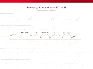77
Beta-oxydation module - PCI = 14
(conserved in 14 pathways)
 