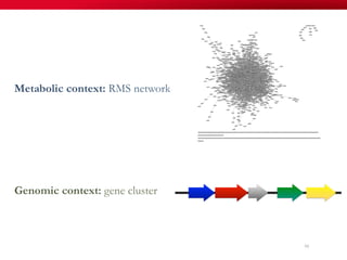 95
Metabolic context: RMS network
Genomic context: gene cluster
 