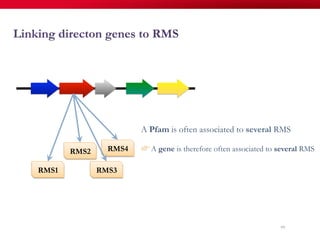 99
Linking directon genes to RMS
RMS1
RMS2
RMS3
RMS4
A Pfam is often associated to several RMS
! A gene is therefore often associated to several RMS
 