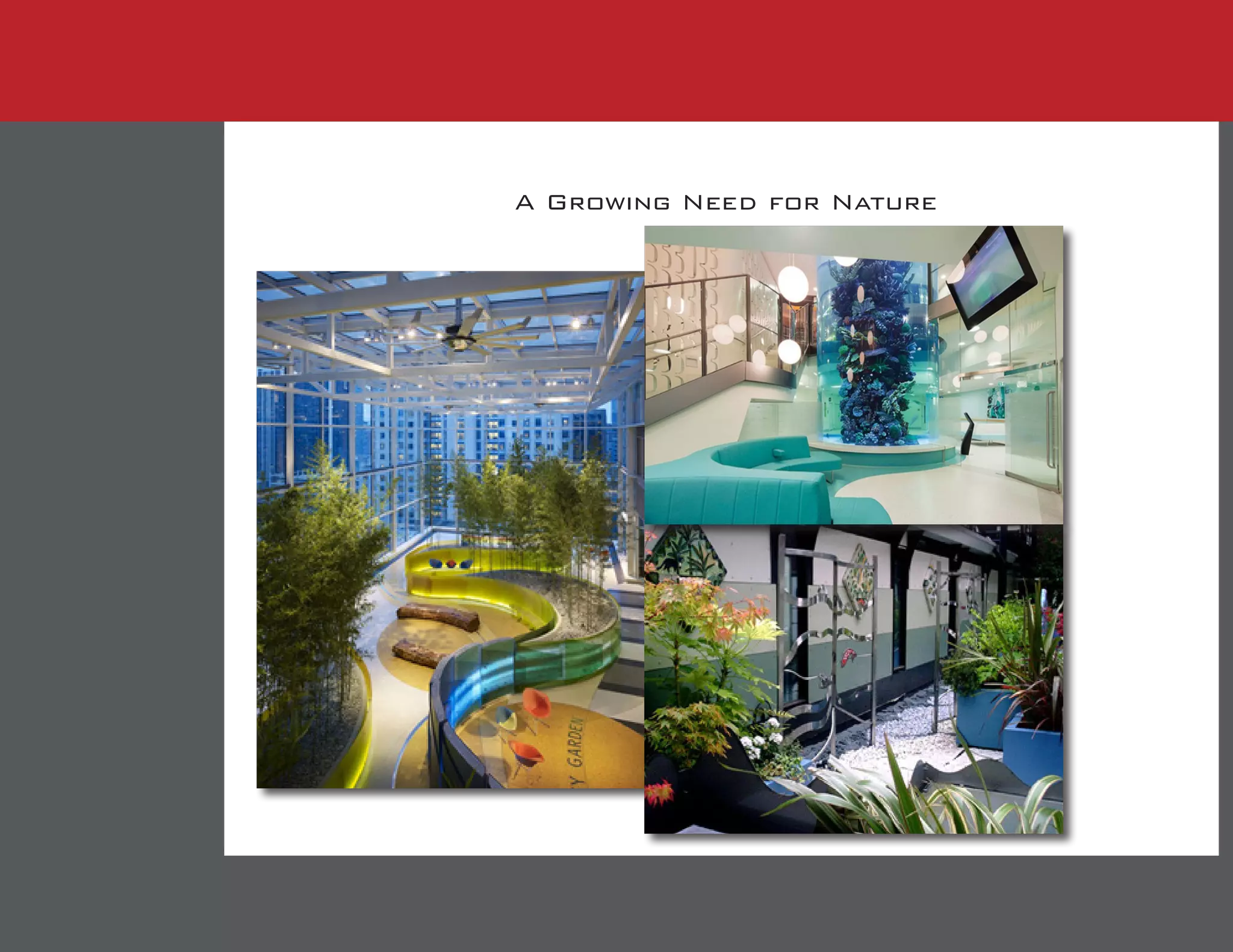 A Growing Need for Nature
 