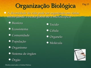 Organização BiológicaOrganização Biológica
 BiosferaBiosfera
 EcossistemaEcossistema
 ComunidadeComunidade
 PopulaçãoPopulação
 OrganismoOrganismo
 Sistema de órgãosSistema de órgãos
 ÓrgãoÓrgão
 TecidoTecido
 CélulaCélula
 OrganeloOrganelo
 MoléculaMolécula
 A diversidade da vida pode ser organizada em váriosA diversidade da vida pode ser organizada em vários
níveis (desde a escala global até à microscópica)níveis (desde a escala global até à microscópica)
Pág 13
Direitos reservados a Cristina Pedrosa
 