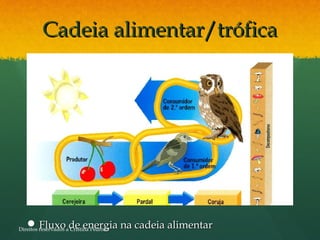 Cadeia alimentar/tróficaCadeia alimentar/trófica
 Fluxo de energia na cadeia alimentarFluxo de energia na cadeia alimentarDireitos reservados a Cristina Pedrosa
 