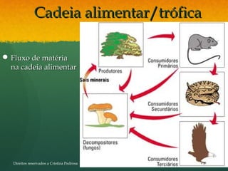  Fluxo de matériaFluxo de matéria
na cadeia alimentarna cadeia alimentar
Cadeia alimentar/tróficaCadeia alimentar/trófica
Direitos reservados a Cristina Pedrosa
 