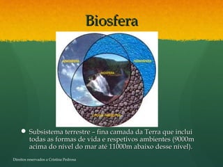 BiosferaBiosfera
 Subsistema terrestre – fina camada da Terra que incluiSubsistema terrestre – fina camada da Terra que inclui
todas as formas de vida e respetivos ambientes (9000mtodas as formas de vida e respetivos ambientes (9000m
acima do nível do mar até 11000m abaixo desse nível).acima do nível do mar até 11000m abaixo desse nível).
Direitos reservados a Cristina Pedrosa
 