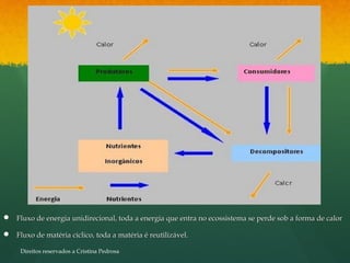  Fluxo de energia unidirecional, toda a energia que entra no ecossistema se perde sob a forma de calorFluxo de energia unidirecional, toda a energia que entra no ecossistema se perde sob a forma de calor
 Fluxo de matéria cíclico, toda a matéria é reutilizável.Fluxo de matéria cíclico, toda a matéria é reutilizável.
Direitos reservados a Cristina Pedrosa
 