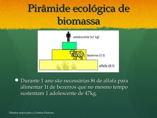 Pirâmide ecológica dePirâmide ecológica de
biomassabiomassa
 Durante 1 ano são necessárias 8t de alfafa paraDurante 1 ano são necessárias 8t de alfafa para
alimentar 1t de bezerros que no mesmo tempoalimentar 1t de bezerros que no mesmo tempo
sustentam 1 adolescente de 47kg.sustentam 1 adolescente de 47kg.
Direitos reservados a Cristina Pedrosa
 