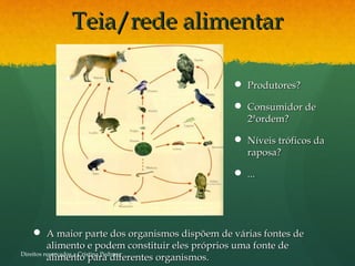 Teia/rede alimentarTeia/rede alimentar
 A maior parte dos organismos dispõem de várias fontes deA maior parte dos organismos dispõem de várias fontes de
alimento e podem constituir eles próprios uma fonte dealimento e podem constituir eles próprios uma fonte de
alimento para diferentes organismos.alimento para diferentes organismos.
 Produtores?Produtores?
 Consumidor deConsumidor de
2ªordem?2ªordem?
 Níveis tróficos daNíveis tróficos da
raposa?raposa?
 ......
Direitos reservados a Cristina Pedrosa
 