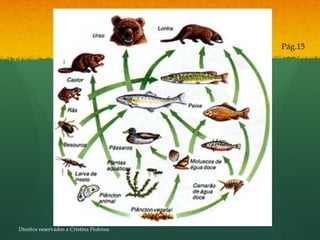 Pág.15
Direitos reservados a Cristina Pedrosa
 