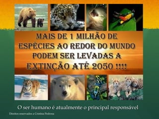 O ser humano é atualmente o principal responsávelO ser humano é atualmente o principal responsável
Direitos reservados a Cristina Pedrosa
 