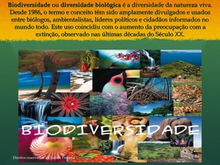 BiodiversidadeBiodiversidade ouou diversidade biológicadiversidade biológica é a diversidade da natureza viva.é a diversidade da natureza viva.
Desde 1986, o termo e conceito têm sido amplamente divulgados e usadosDesde 1986, o termo e conceito têm sido amplamente divulgados e usados
entre biólogos, ambientalistas, líderes políticos e cidadãos informados noentre biólogos, ambientalistas, líderes políticos e cidadãos informados no
mundo todo. Este uso coincidiu com o aumento da preocupação com amundo todo. Este uso coincidiu com o aumento da preocupação com a
extinção, observado nas últimas décadas do Século XX.extinção, observado nas últimas décadas do Século XX.
Direitos reservados a Cristina Pedrosa
 