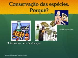 Conservação das espécies.Conservação das espécies.
Porquê?Porquê?
 fármacos, cura de doençasfármacos, cura de doenças
malária/quinino
Direitos reservados a Cristina Pedrosa
 