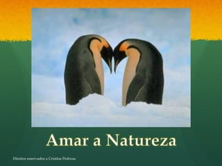 Direitos reservados a Cristina Pedrosa
 