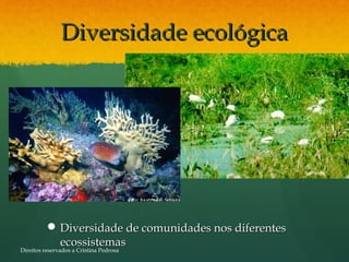 Diversidade ecológicaDiversidade ecológica
 Diversidade de comunidades nos diferentesDiversidade de comunidades nos diferentes
ecossistemasecossistemas
Direitos reservados a Cristina Pedrosa
 