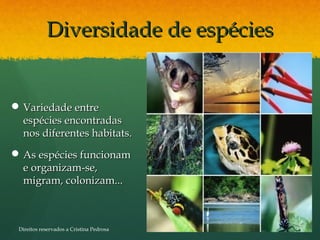 Diversidade de espéciesDiversidade de espécies
 Variedade entreVariedade entre
espécies encontradasespécies encontradas
nos diferentes habitats.nos diferentes habitats.
 As espécies funcionamAs espécies funcionam
e organizam-se,e organizam-se,
migram, colonizam...migram, colonizam...
Direitos reservados a Cristina Pedrosa
 