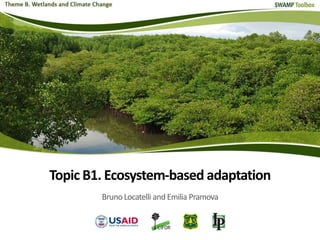 Topic B1. Ecosystem-based adaptation
Bruno Locatelli and Emilia Pramova
 