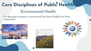 Core Disciplines of Public Health
Environmental Health
For descriptive purpose, environment has been divided into three
components
 