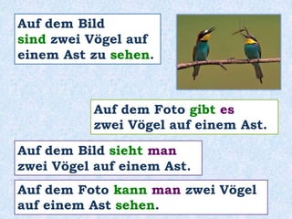 • Was machen sie?
• Was haben sie gemacht?
 
