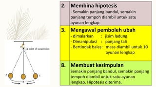 2. Membina hipotesis
- Semakin panjang bandul, semakin
panjang tempoh diambil untuk satu
ayunan lengkap
3. Mengawal pemboleh ubah
- dimalarkan : jisim ladung
- Dimanipulasi : panjang tali
- Bertindak balas: masa diambil untuk 10
ayunan lengkap
8. Membuat kesimpulan
Semakin panjang bandul, semakin panjang
tempoh diambil untuk satu ayunan
lengkap. Hipotesis diterima.
 