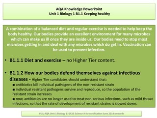 AQA Knowledge PowerPoint
Unit 1 Biology 1 B1.1 Keeping healthy
PiXL AQA Unit 1 Biology 1: GCSE Science A for certification June 2014 onwards
A combination of a balanced diet and regular exercise is needed to help keep the
body healthy. Our bodies provide an excellent environment for many microbes
which can make us ill once they are inside us. Our bodies need to stop most
microbes getting in and deal with any microbes which do get in. Vaccination can
be used to prevent infection.
• B1.1.1 Diet and exercise – no Higher Tier content.
• B1.1.2 How our bodies defend themselves against infectious
diseases - Higher Tier candidates should understand that:
■ antibiotics kill individual pathogens of the non-resistant strain
■ individual resistant pathogens survive and reproduce, so the population of the
resistant strain increases
■ now, antibiotics are no longer used to treat non-serious infections, such as mild throat
infections, so that the rate of development of resistant strains is slowed down.
 