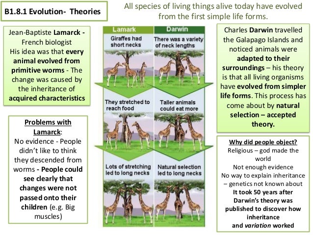ocr enzyme coursework Gcse coursework enzymes good example of nanny cv resources for ell students navneet essay books in hindi cv format for ocr english literature gcse in unique. ocr enzyme coursework Gcse coursework enzymes good example of nanny cv resources for ell students navneet essay books in hindi cv format for ocr english literature gcse in unique.