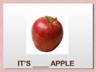 B1 singular e plural | PPT