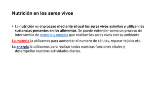 Nutrición en los seres vivos
• La nutrición es el proceso mediante el cual los seres vivos asimilan y utilizan las
sustancias presentes en los alimentos. Se puede entender como un proceso de
intercambio de materia y energía que realizan los seres vivos con su ambiente.
La materia la utilizamos para aumentar el numero de células, reparar tejidos etc.
La energía la utilizamos para realizar todas nuestras funciones vitales y
desempeñar nuestras actividades diarias.
 