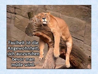 _________
ist ein Zeitadverb
vorher
 