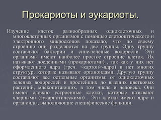 Прокариоты и эукариоты.Прокариоты и эукариоты.
Изучение клеток разнообразных одноклеточных иИзучение клеток разнообразных одноклеточных и
многоклеточных организмов с помощью светооптического имногоклеточных организмов с помощью светооптического и
электронного микроскопов показало, что по своемуэлектронного микроскопов показало, что по своему
строению они разделяются на две группы. Одну группустроению они разделяются на две группы. Одну группу
составляют бактерии и сине-зеленые водоросли. Этисоставляют бактерии и сине-зеленые водоросли. Эти
организмы имеют наиболее простое строение клеток. Ихорганизмы имеют наиболее простое строение клеток. Их
называют доеденными (прокариотами) , так как у них нетназывают доеденными (прокариотами) , так как у них нет
оформленного ядра (греч. <картон>-ядро) и нет многихоформленного ядра (греч. <картон>-ядро) и нет многих
структур, которые называют органоидами. Другую группуструктур, которые называют органоидами. Другую группу
составляют все остальные организмы: от одноклеточныхсоставляют все остальные организмы: от одноклеточных
зеленых водорослей и простейших до высших цветковыхзеленых водорослей и простейших до высших цветковых
растений, млекопитающих, в том числе и человека. Онирастений, млекопитающих, в том числе и человека. Они
имеют сложно устроенные клетки, которые называютимеют сложно устроенные клетки, которые называют
ядерными (эукариотическими) . Эти клетки имеют ядро иядерными (эукариотическими) . Эти клетки имеют ядро и
органоиды, выполняющие специфические функции.органоиды, выполняющие специфические функции.
 
