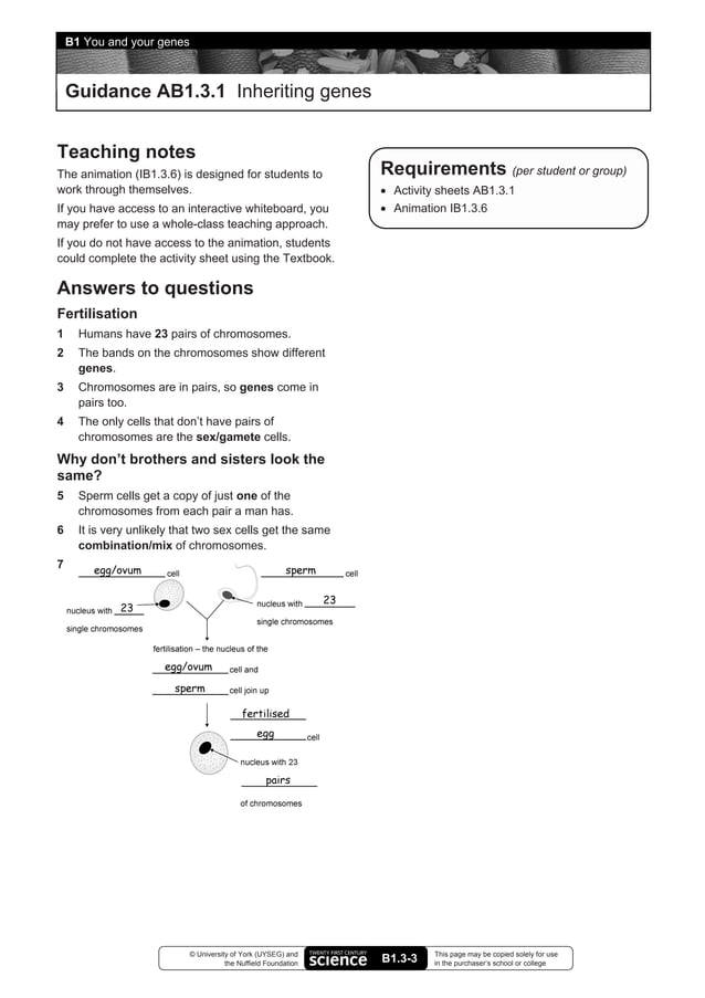 B1 you and your genes answers PDF