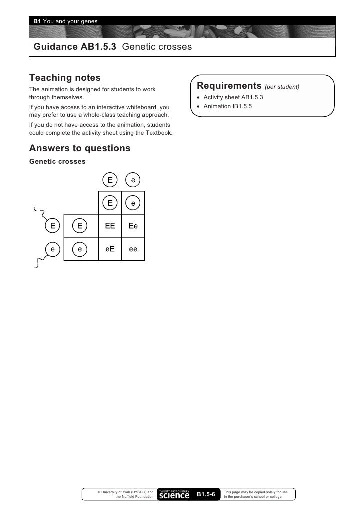 B1 You And Your Genes Answers - 