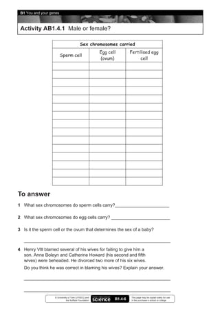 B1 You and your genes



 Activity AB1.4.1 Male or female?

                                            Sex chromosomes carried
                                                        Egg cell        Fertilised egg
                         Sperm cell
                                                        (ovum)               cell




To answer
1 What sex chromosomes do sperm cells carry?

2 What sex chromosomes do egg cells carry?

3 Is it the sperm cell or the ovum that determines the sex of a baby?



4 Henry Vlll blamed several of his wives for failing to give him a
  son. Anne Boleyn and Catherine Howard (his second and fifth
  wives) were beheaded. He divorced two more of his six wives.
   Do you think he was correct in blaming his wives? Explain your answer.




                   © University of York (UYSEG) and                     This page may be copied solely for use
                              the Nuffield Foundation          B1.4-6   in the purchaser’s school or college
 