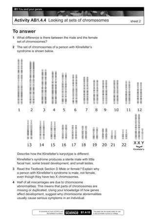 B1 You and your genes



 Activity AB1.4.4 Looking at sets of chromosomes                                                           sheet 2


To answer
1 What difference is there between the male and the female
  set of chromosomes?
2 The set of chromosomes of a person with Klinefelter’s
  syndrome is shown below.




   Describe how the Klinefelter’s karyotype is different.
   Klinefelter’s syndrome produces a sterile male with little
   facial hair, some breast development, and small testes.
3 Read the Textbook Section D Male or female? Explain why
  a person with Klinefelter’s syndrome is male, not female,
  even though they have two X chromosomes.
4 Half of all miscarriages are due to chromosome
  abnormalities. This means that parts of chromosomes are
  missing or duplicated. Using your knowledge of how genes
  affect development, suggest why chromosome abnormalities
  usually cause serious symptoms in an individual.



                   © University of York (UYSEG) and               This page may be copied solely for use
                              the Nuffield Foundation   B1.4-10   in the purchaser’s school or college
 